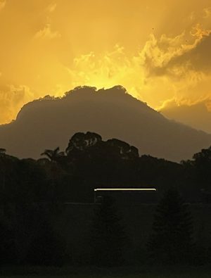 Find Clarity on Your Next Aligned Step—in Just 30 Minutes