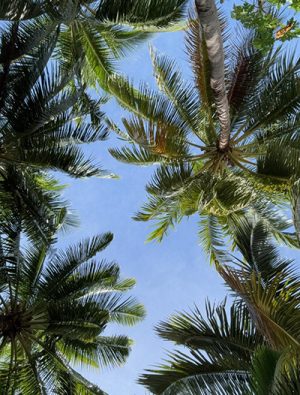 Feeling the pull toward something greater, but not sure how to get there?